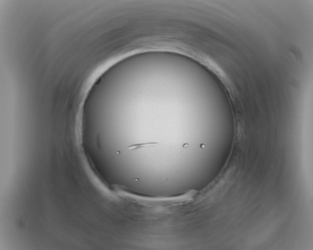 X0000114131528200910221454