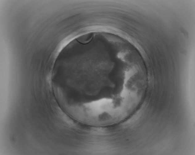 X0000114131529200910221454