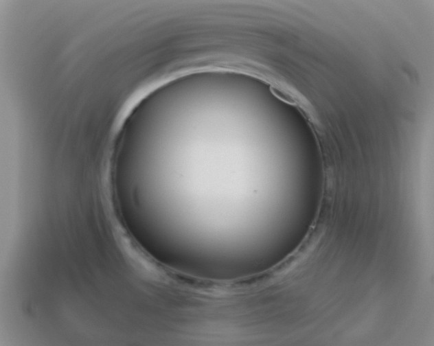 X0000114131530200910221454