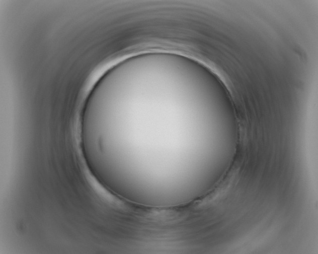 X0000114131531200910221454