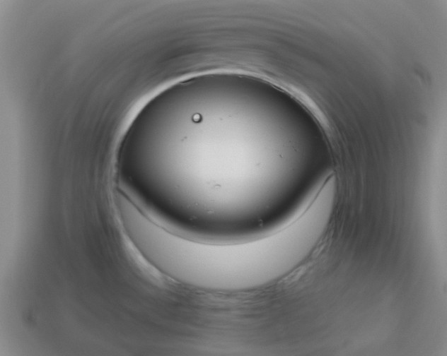 X0000114131532200910221454