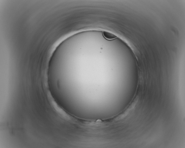 X0000114131534200910221454