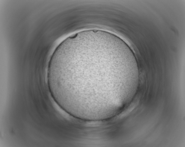 X0000114131535200910221454