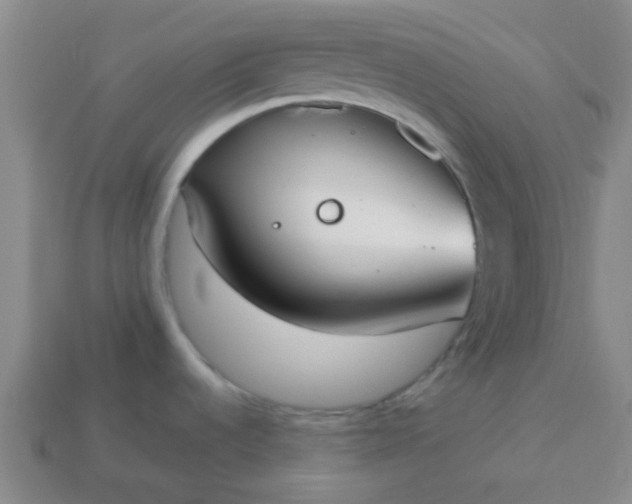 X0000114131536200910221454