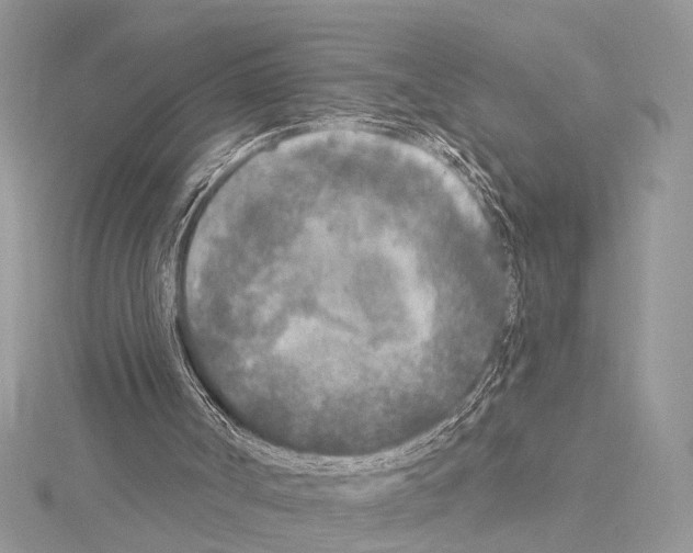 X0000114130002200911191132