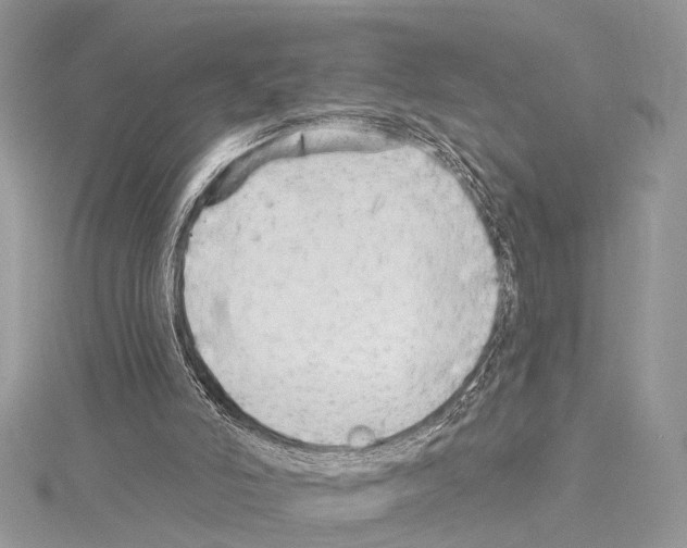 X0000114130006200911191132