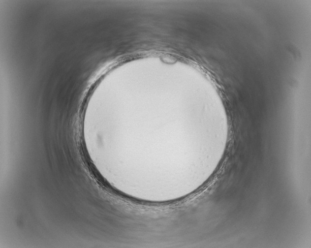 X0000114130008200911191132