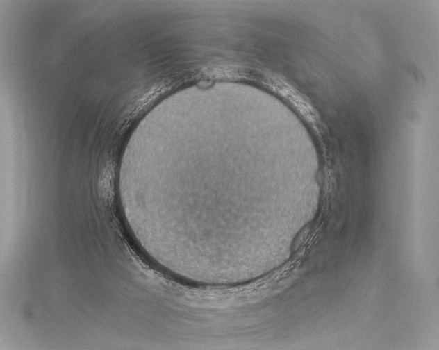 X0000114130009200911191132