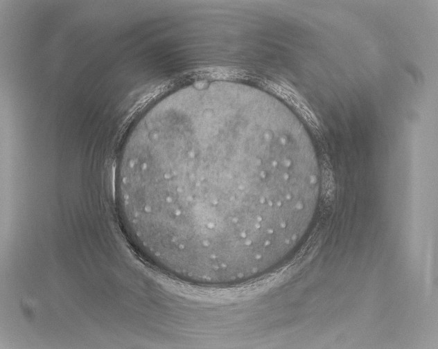 X0000114130014200911191131