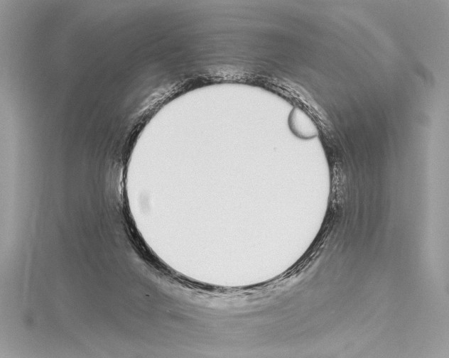 X0000114130024200911191131