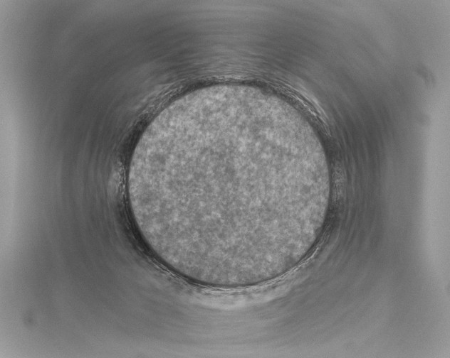 X0000114130029200911191131