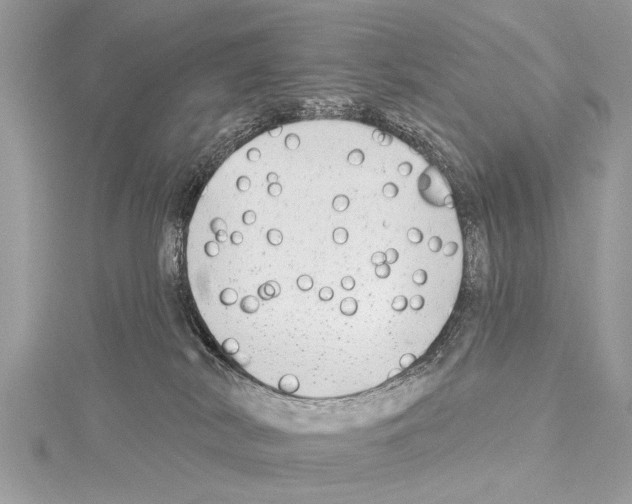 X0000114130038200911191131