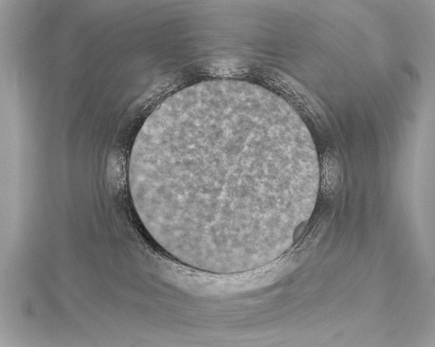 X0000114130043200911191131