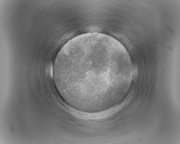 X0000114130046200911191131