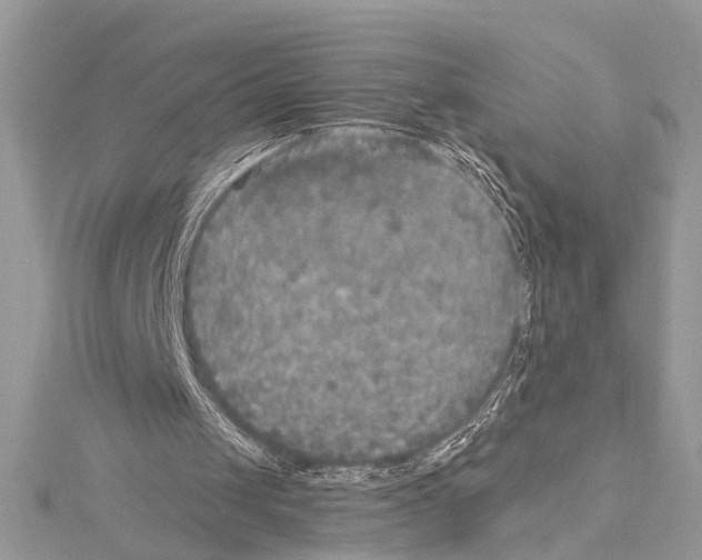 X0000114130049200911191130