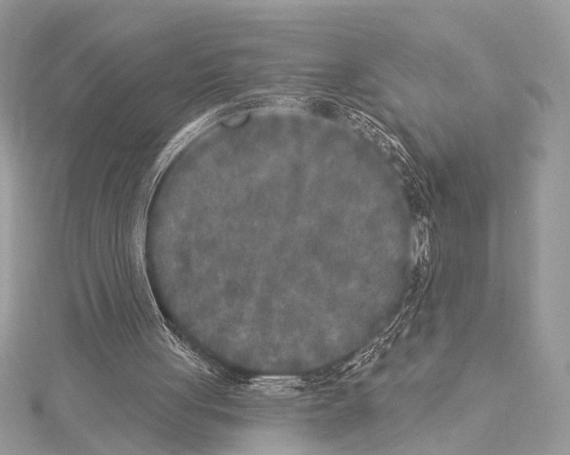 X0000114130051200911191130