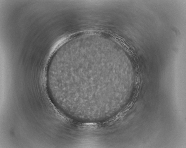 X0000114130053200911191130