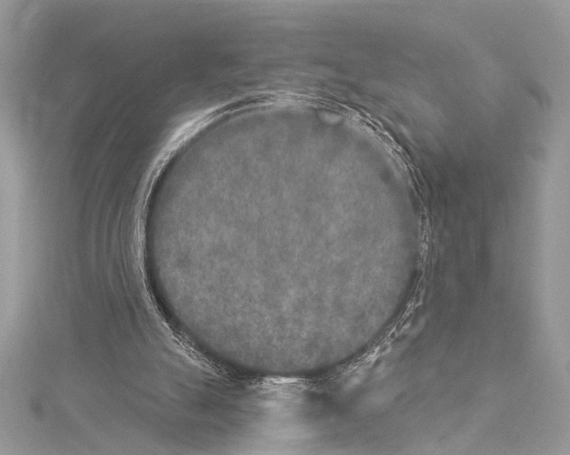 X0000114130055200911191130