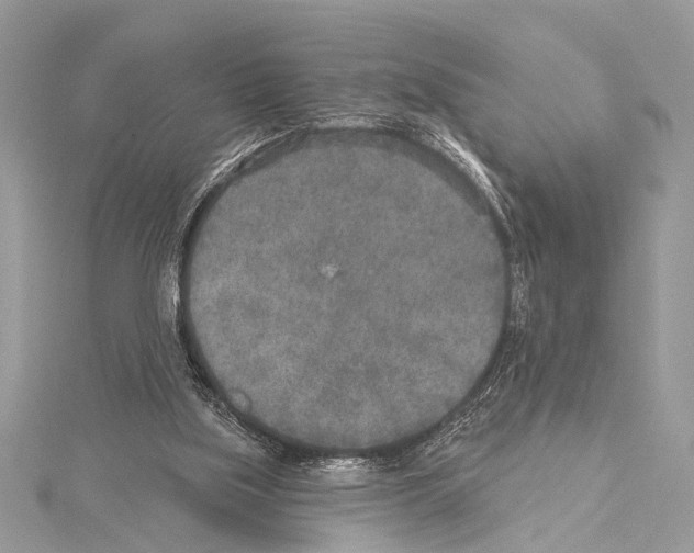 X0000114130059200911191131