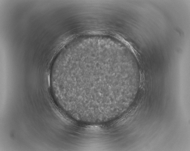 X0000114130061200911191131