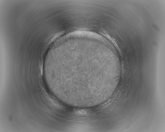 X0000114130062200911191131