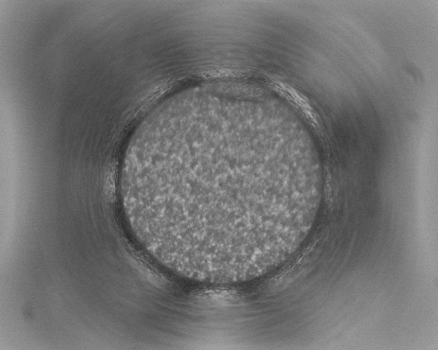 X0000114130065200911191131