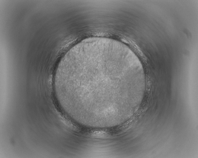 X0000114130066200911191131