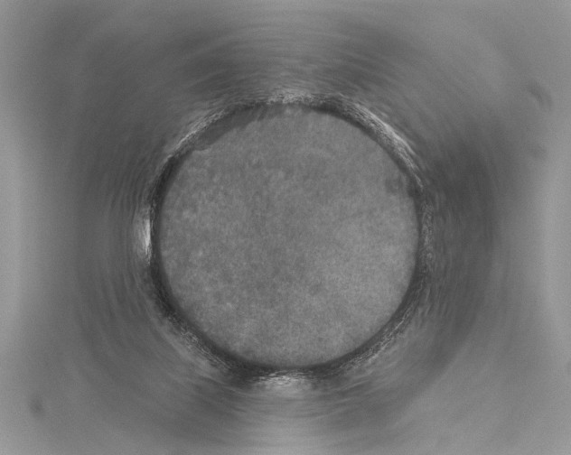 X0000114130067200911191131