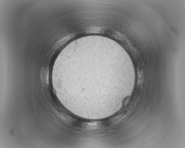 X0000114130068200911191131