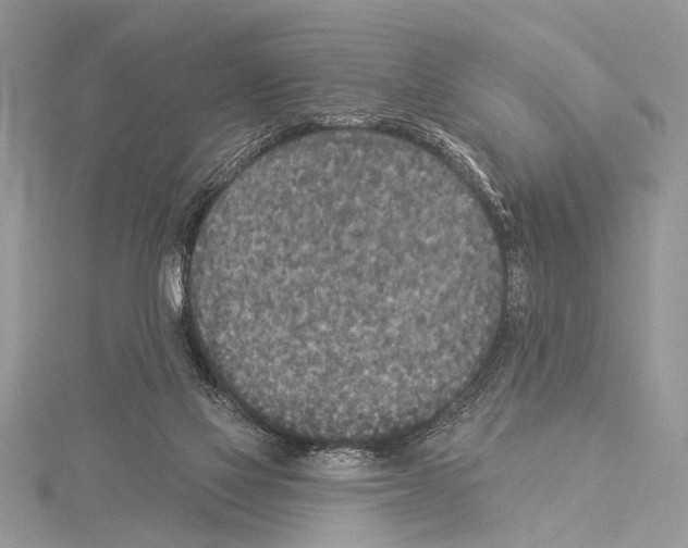 X0000114130069200911191131