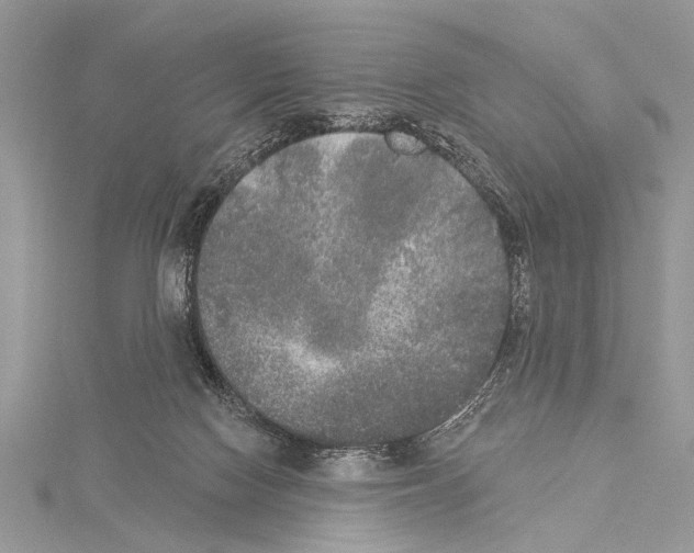 X0000114130074200911191131