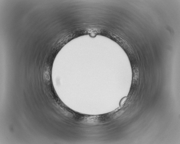 X0000114130078200911191131