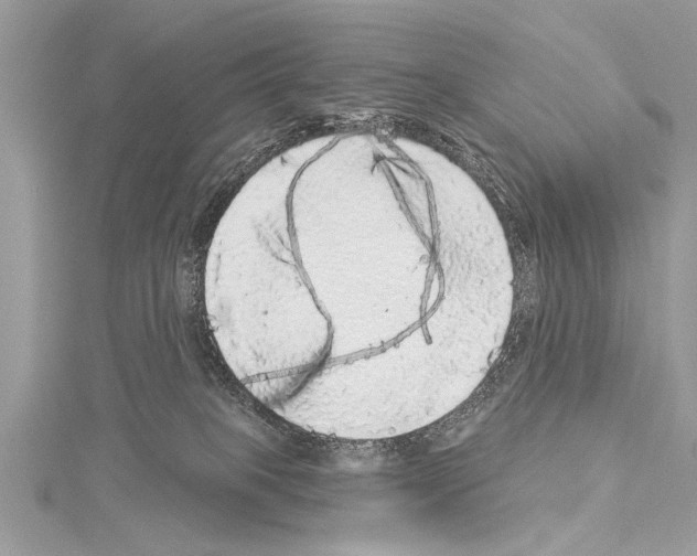 X0000114130085200911191131