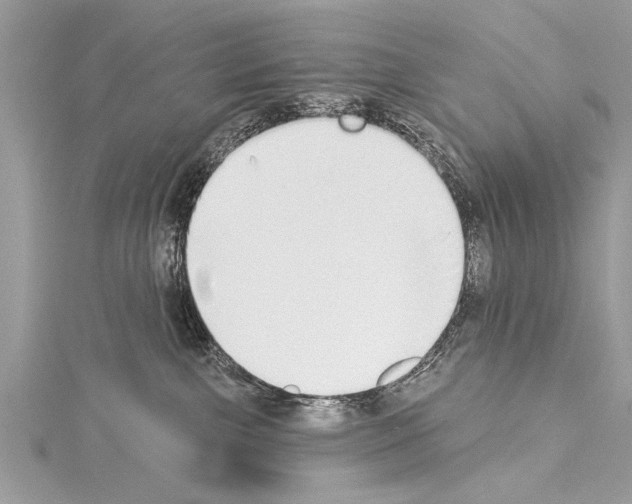 X0000114130091200911191131