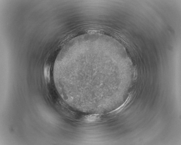 X0000114130094200911191131