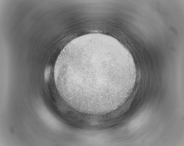 X0000114130095200911191131