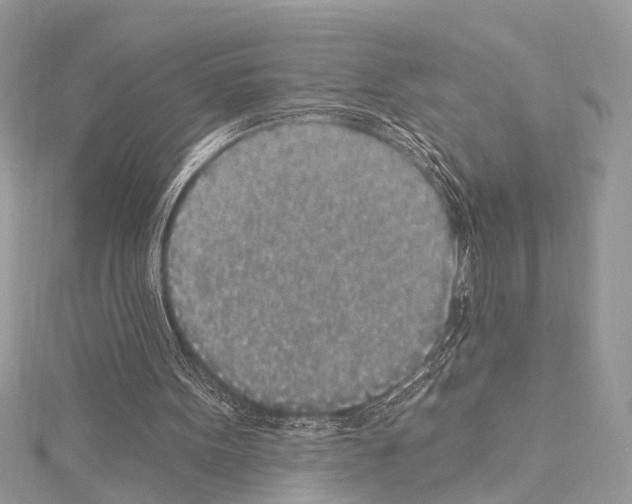 X0000114130099200911191130