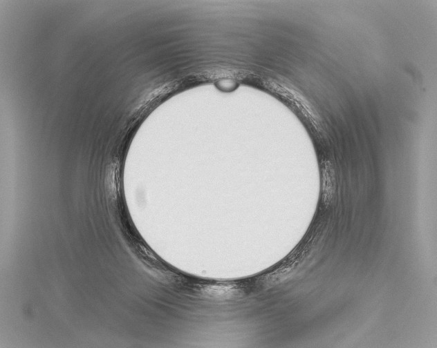 X0000114130119200911191130