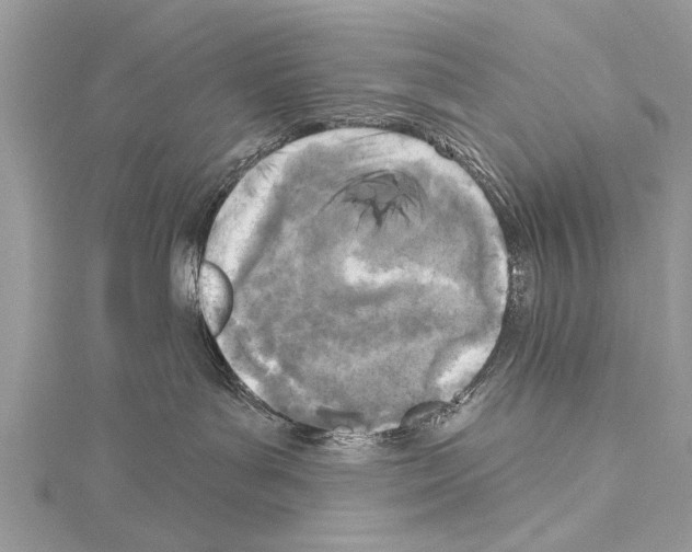 X0000114130143200911191130