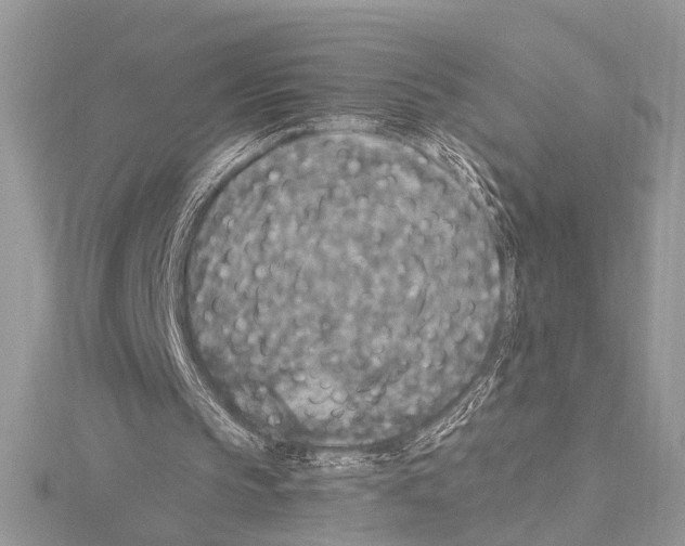 X0000114130145200911191129