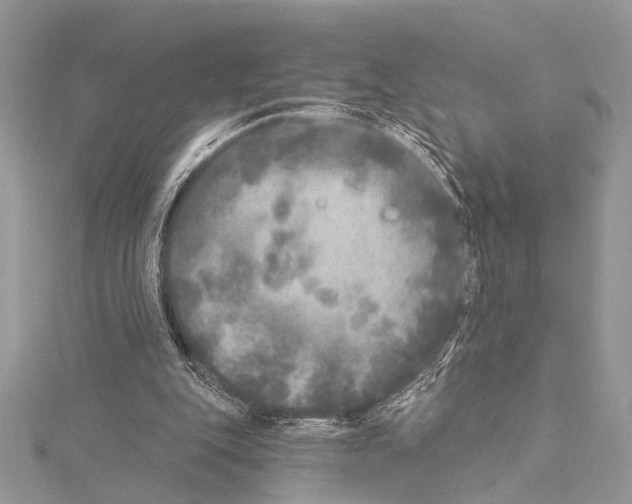 X0000114130151200911191129