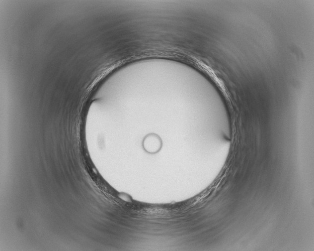 X0000114130154200911191129