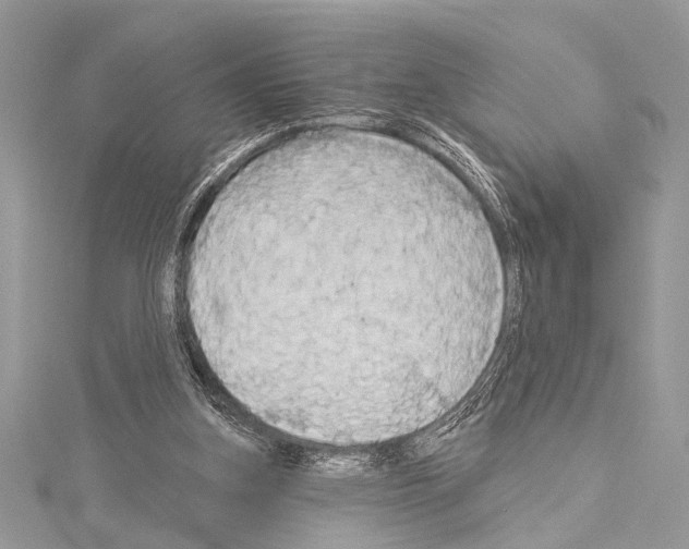 X0000114130155200911191129