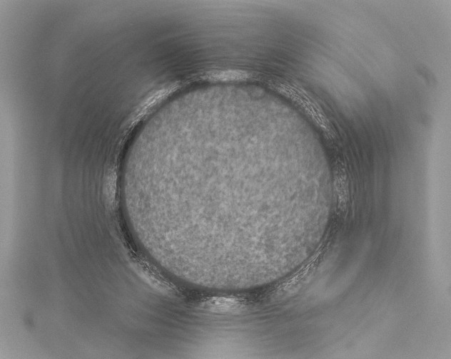 X0000114130159200911191129