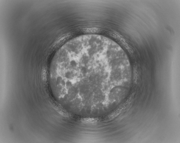 X0000114130161200911191129