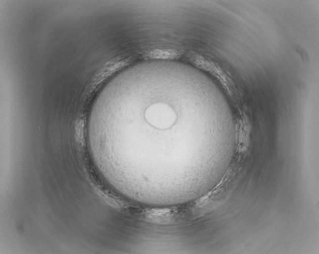 X0000114130162200911191129