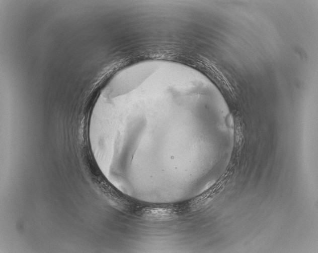 X0000114130163200911191129