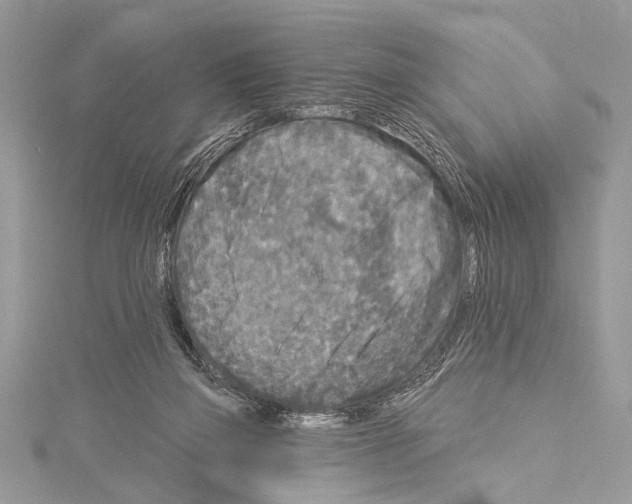 X0000114130165200911191129