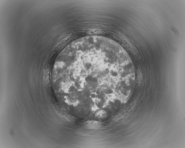 X0000114130169200911191129