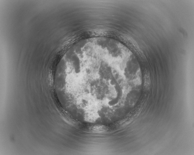 X0000114130173200911191130